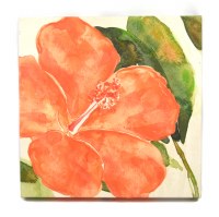 18" Square Coral Hibiscus 1 On Canvas