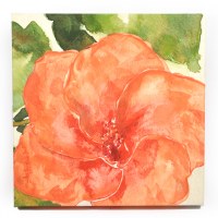 18" Square Coral Hibiscus 2 On Canvas