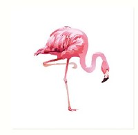 5" Square Flamingo Paper Beverage Napkins