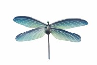 9.5" Blue Metal Dragonfly Wall Art Plaque