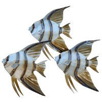 19" Three Angelfish Coastal Metal Wall Art Plaque