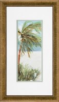 32"  x 19" Beachwalk 1 Framed Print