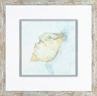 20" Square Biscayne 1 Framed Print