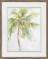 38" x 32" Palm Breezes 1 Framed Print