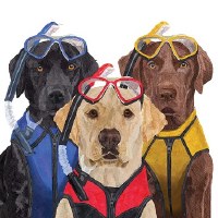 5" Square Scuba Dogs Paper Beverage Napkins