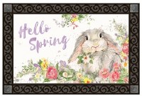 18" x 30" Hello Spring Doormat