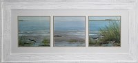 24" x 50" Three Scene Sandpipers Framed Under Glass