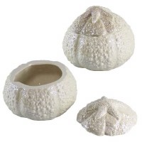 White Sea Urchin Ceramic Box