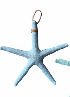 20" Blue Starfish Plaque