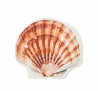 14" Scallop Shape Pillow