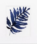 16" x 14" 1 Dark Blue Frond Framed Print Under Glass