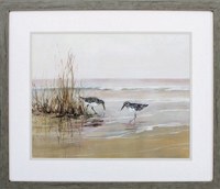 28" x 24" 2 Sandpipers At The Beach Framed Print Under Glass