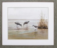 28"x 24" 3 Sandpipers At The Beach Framed Print Under Glass