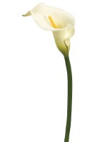 39" Faux Cream Calla Lily