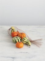 Bag of 6 Pumpkins and Gourds Fall and Thanksgiving Decoration
