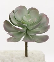 6" Faux Sage and Purple Echeveria Succulent