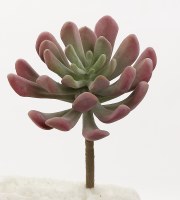 7" Faux Sage and Burgundy Finger Succulent