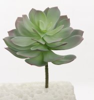 8" Faux Sage and Purple Echeveria Succulent