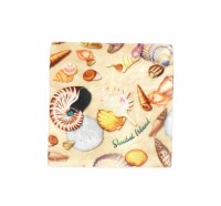 4" Square Sanibel Shell Medley Capiz Box