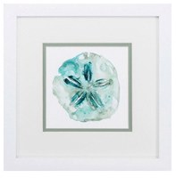 11" Square Aqua Sand Dollar Framed Print Under Glass