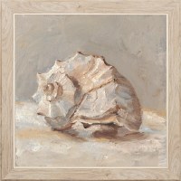 18" Square Textured Snail Shell Framed Print