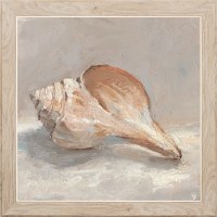 18" Square Textured Whelk Shell Framed Print