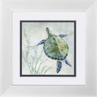 19" Square Blue and Green Turtle 2 Framed Print Under Glass