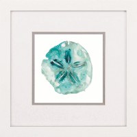 17" Square Aqua Sand Dollar Framed Print Under Glass