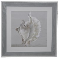 36" Square Framed Gray Conch Print Framed Under Glass