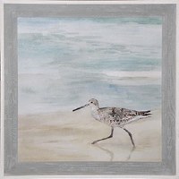 36" Square Shorebird On Right Gel Print Framed