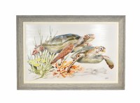 38" x 54" Two Turtles Gel Framed