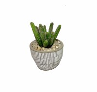 10" Pipe Cactus In Taupe Pot