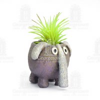 2.5" Dink The Elephant Planter