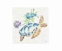 24" Square Sea Turtle With Shells Canvas