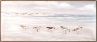 24" x 55" Five Sandpipers On Framed Canvas