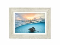 24" x 32" Stingray Sunrise Gel Photo Framed