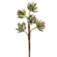 10" Faux Green and Pink 5 Head Sedum