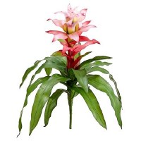 21" Faux Pink Bromiliad