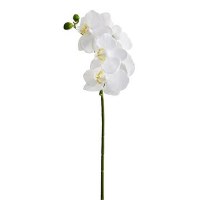 23" Faux White Phaleonopsis Spray