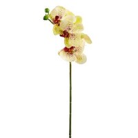 23" Faux Yellow and Burgundy Phaleonopsis Spray