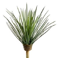 14" Faux Green and Gray Whipple Yucca