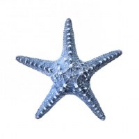 8" Navy Faux Polystone Starfish