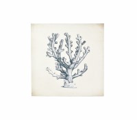 12" Square Blue and White Branch Coral Canvas