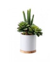 8" Mix Of Cactus Faux Succulent In White Pot With Wood Base