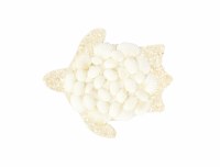 Turtle With White Shells Ornament
