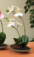 11" Faux White Orchid In Low Dish