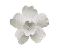 13" Round White Polystone Orchid Wall Plaque