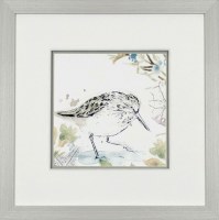 22" Square Sandpiper 3 Framed Print Under Glass