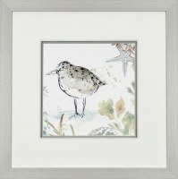 22" Square Sandpiper 4 Framed Print Under Glass