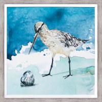 27" Square Shore Bird With Shell Facing Left Framed Gel Print